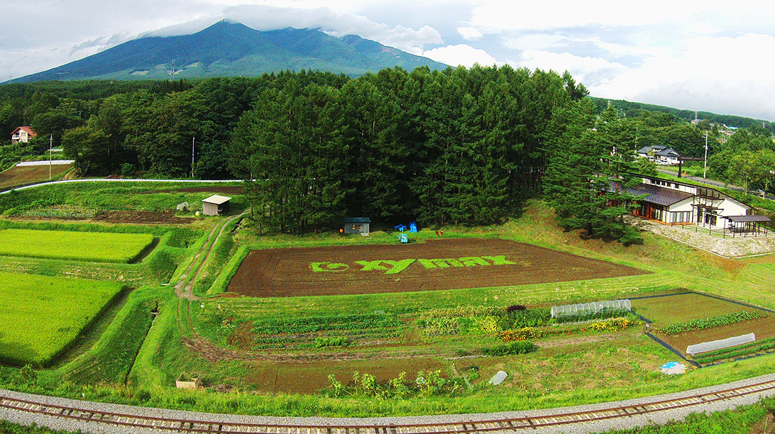 ザイマックスヴィレッジ 画像1